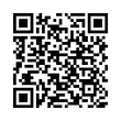 QR Code (код быстрого отклика)