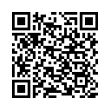 QR Code (код быстрого отклика)