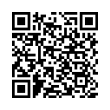 QR Code (код быстрого отклика)