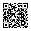 QR Code (код быстрого отклика)