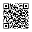 QR Code (код быстрого отклика)