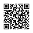 QR Code (код быстрого отклика)