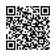 QR Code (код быстрого отклика)