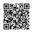 QR Code (код быстрого отклика)