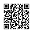 QR Code (код быстрого отклика)