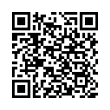 QR Code (код быстрого отклика)