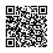 QR Code (код быстрого отклика)