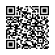 QR Code (код быстрого отклика)