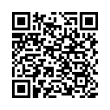 QR Code (код быстрого отклика)