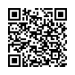 QR Code (код быстрого отклика)