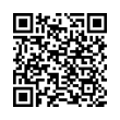 QR Code (код быстрого отклика)