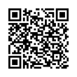 QR Code (код быстрого отклика)