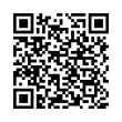 QR Code (код быстрого отклика)