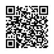 QR Code (код быстрого отклика)