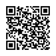 QR Code (код быстрого отклика)