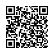 QR Code (код быстрого отклика)