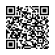 QR Code (код быстрого отклика)