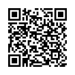 QR Code (код быстрого отклика)