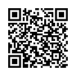 QR Code (код быстрого отклика)