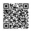 QR Code (код быстрого отклика)