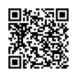 QR Code (код быстрого отклика)