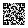 QR Code (код быстрого отклика)