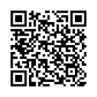 QR Code (код быстрого отклика)