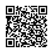 QR Code (код быстрого отклика)