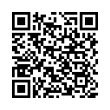 QR Code (код быстрого отклика)