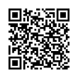 QR Code (код быстрого отклика)