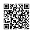 QR Code (код быстрого отклика)