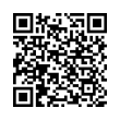 QR Code (код быстрого отклика)