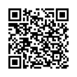 QR Code (код быстрого отклика)