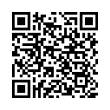 QR Code (код быстрого отклика)