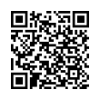 QR Code (код быстрого отклика)