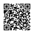 QR Code (код быстрого отклика)