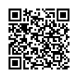 QR Code (код быстрого отклика)