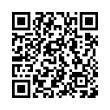 QR Code (код быстрого отклика)