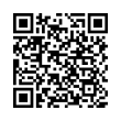 QR Code (код быстрого отклика)