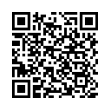 QR Code (код быстрого отклика)