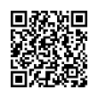 QR Code (код быстрого отклика)