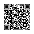 QR Code (код быстрого отклика)