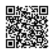 QR Code (код быстрого отклика)