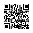 QR Code (код быстрого отклика)