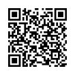 QR Code (код быстрого отклика)