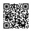 QR Code (код быстрого отклика)