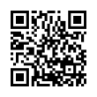 QR Code (код быстрого отклика)