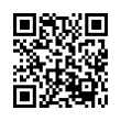 QR Code (код быстрого отклика)