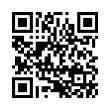 QR Code (код быстрого отклика)