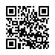 QR Code (код быстрого отклика)